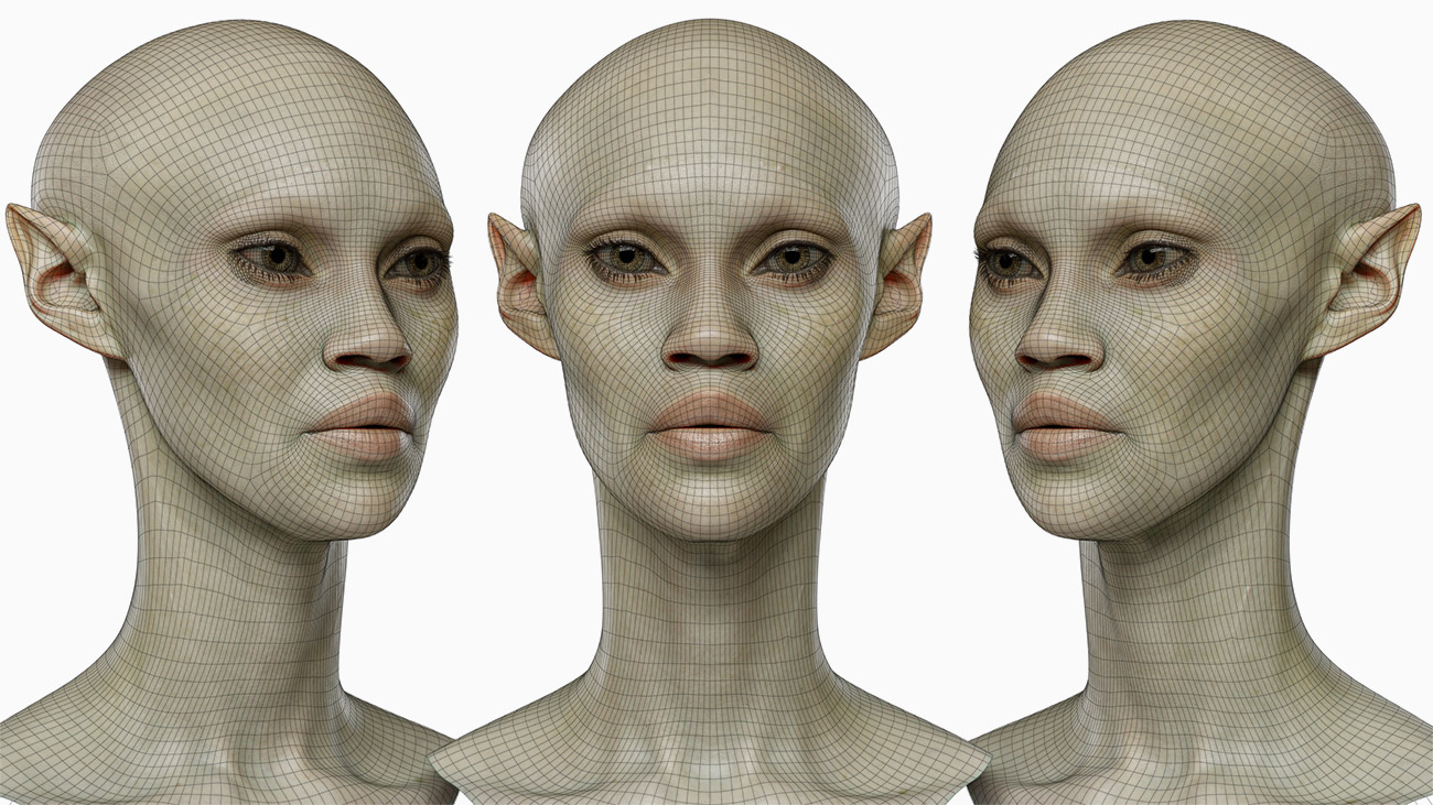 Download female elf topology 3d model 